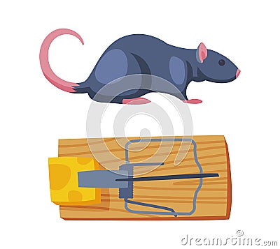 Pest Control with Trap and Cheese for Rat Rodent Vector Set Vector Illustration