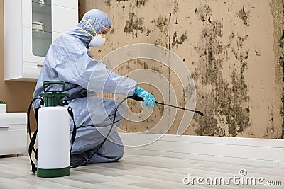 Pest Control Worker Spraying Pesticide On Wall Stock Photo