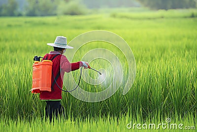 Pesticide,Farmers spraying pesticide in rice field wearing protective clothing Stock Photo