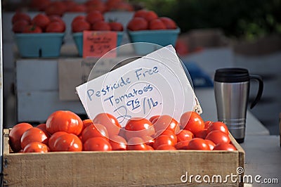 Pesticide free tomatoes Stock Photo