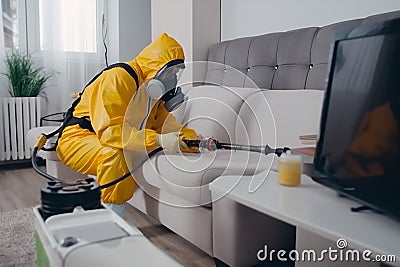 kill pesticide exterminator termite pest uniform sofa insect cockroach control. Generative AI. Stock Photo