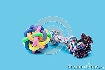 Pet Rope and collars on light blue background. Stock Photo