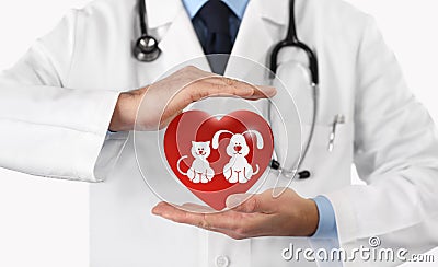 Pet care concept veterinarian hands with animal and heart icons Stock Photo