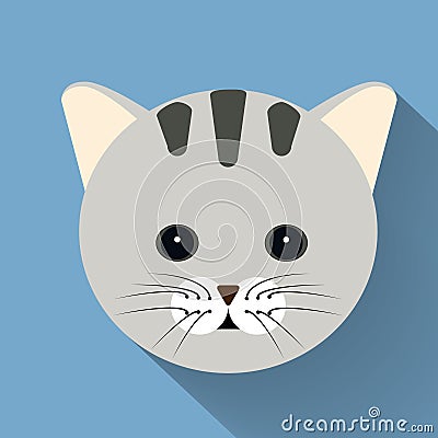 Pet cat flat icon with long shadow Stock Photo