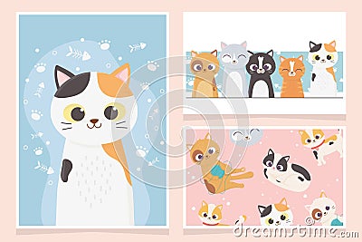 Pet cats adorable playing fishbone paw cartoon cards Vector Illustration