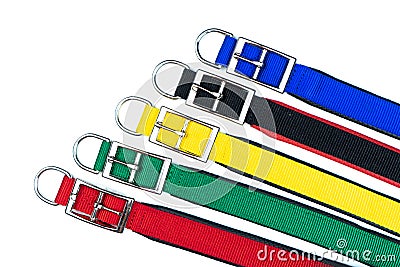 Pet collars for dog or cat on isolated white Stock Photo