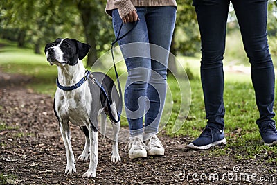 Pet dog and owners standing on footpath Stock Photo