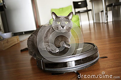 Pet friendly smart vacuum cleaner Stock Photo