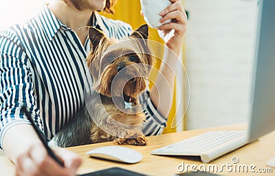 Pet with graphic designer working at home workplace on background monitor computer, isolation smile hipster manager with dog Stock Photo