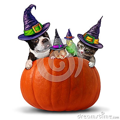 Pet Halloween animals inside a pumpkin Cartoon Illustration