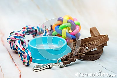 Pet leather leashes, brush and rubber toys Stock Photo