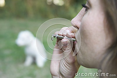 Pet Owner Training Dog Using Whistle Stock Photo