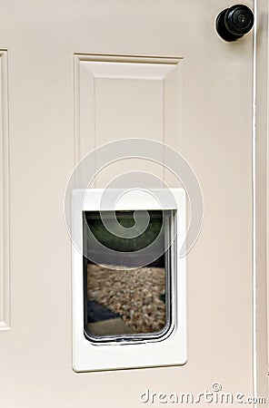 Pet Portal in a Door Stock Photo