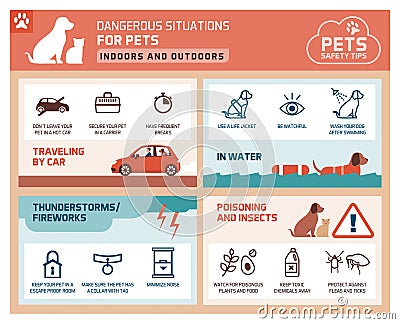 Pet safety tips Vector Illustration
