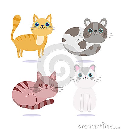 Pet shop, cute cats adorable animal domestic cartoon Vector Illustration
