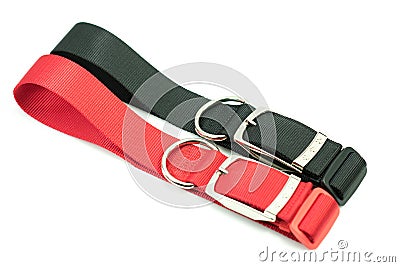 Pet supplies about big size collars for dog Stock Photo