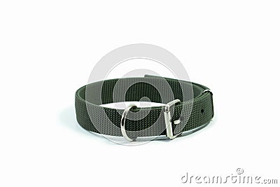 Pet supplies about collars of green isolated Stock Photo