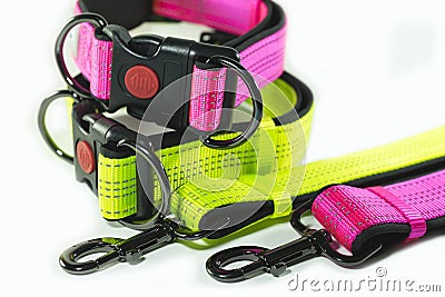 Pet supplies about Collars and leashes on white background. Stock Photo