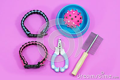 Pet supplies have collars, comb, nail scissors. Bowls of food Stock Photo