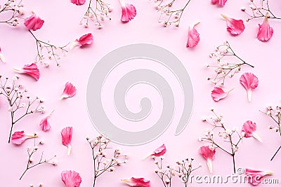 Petal flower on pink background with copy space.Flat lay. Stock Photo