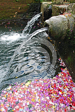 Petals and holy water Stock Photo