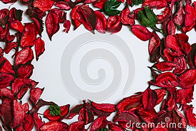 petals of red roses on a white background Stock Photo