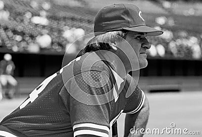 Pete Rose Cincinnati Reds Editorial Stock Photo