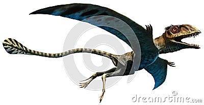 Peteinosaurus Stock Photo