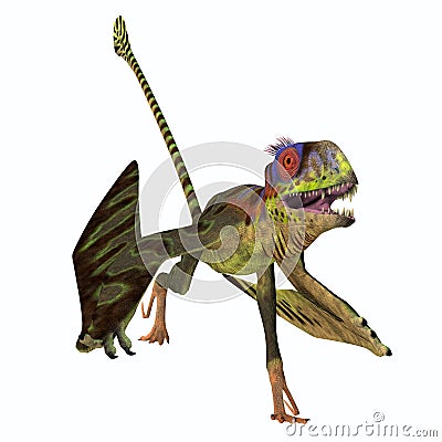 Peteinosaurus Reptile Running Stock Photo