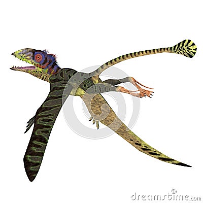 Peteinosaurus Reptile Tail Stock Photo