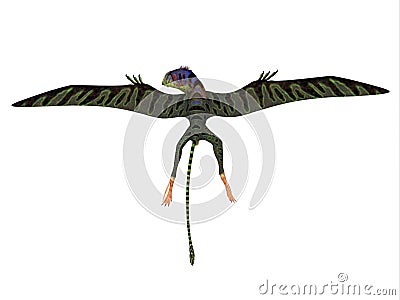 Peteinosaurus Reptile Wings Spread Stock Photo