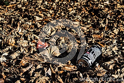 Empty aluminium drinks can and crumpled paper disgarded as litter in old dry leaves Editorial Stock Photo