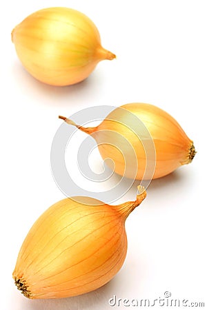 Petit onion Stock Photo