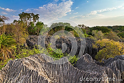 Petit Tsingy Madagascar Stock Photo