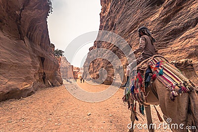 Petra - October 01, 2018: Camel riders in the ancient city of Petra, Wonder of the World, Jordan Editorial Stock Photo