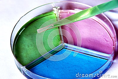 Petri dish Stock Photo