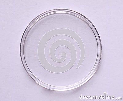 Petri dish for cell culture Stock Photo