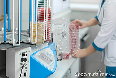 A petri dish in the hands of a laboratory assistant, a medical laboratory Stock Photo