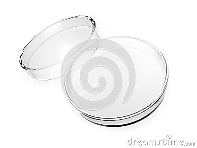 Petri dish isolated on white background. 3d illustration Cartoon Illustration