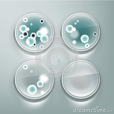 Petri dish with molds Vector Illustration