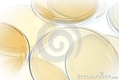 Petri dishes for medical research Stock Photo