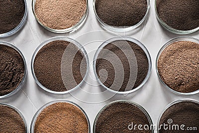 Petri dishes with soil samples on grey table. Laboratory research Stock Photo