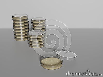 Petri dishes stacked and one opened with colonies Stock Photo