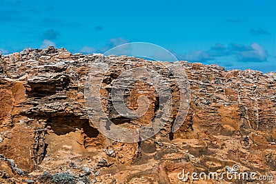 Petrified forest closeup. Cape Bridgewater, Victoria, Australia. Stock Photo