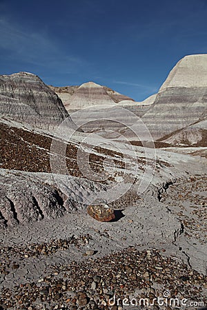 Petrified Forest National Park Stock Photo