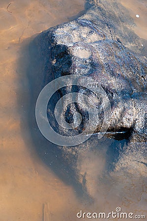 Petrogliphs on the stones on the bank of Amur river Stock Photo