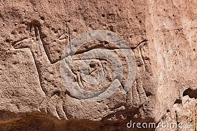 Petroglyph at Yerbas Buenas near San Pedro de Atacama. Stock Photo