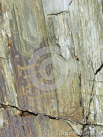 Petroglyphs in the Altai mountains close-up Stock Photo