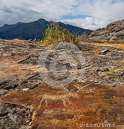 Petroglyphs Of The Altai Mountains Editorial Stock Photo