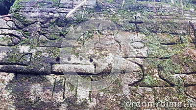 Petroglyphs carved into rocks at Gosford Australia Stock Photo